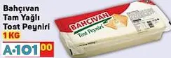 BAHÇIVAN TAM YAĞLI TOST PEYNİRİ BAHÇIVAN TAM YAĞLI TOST PEYNİRİ
